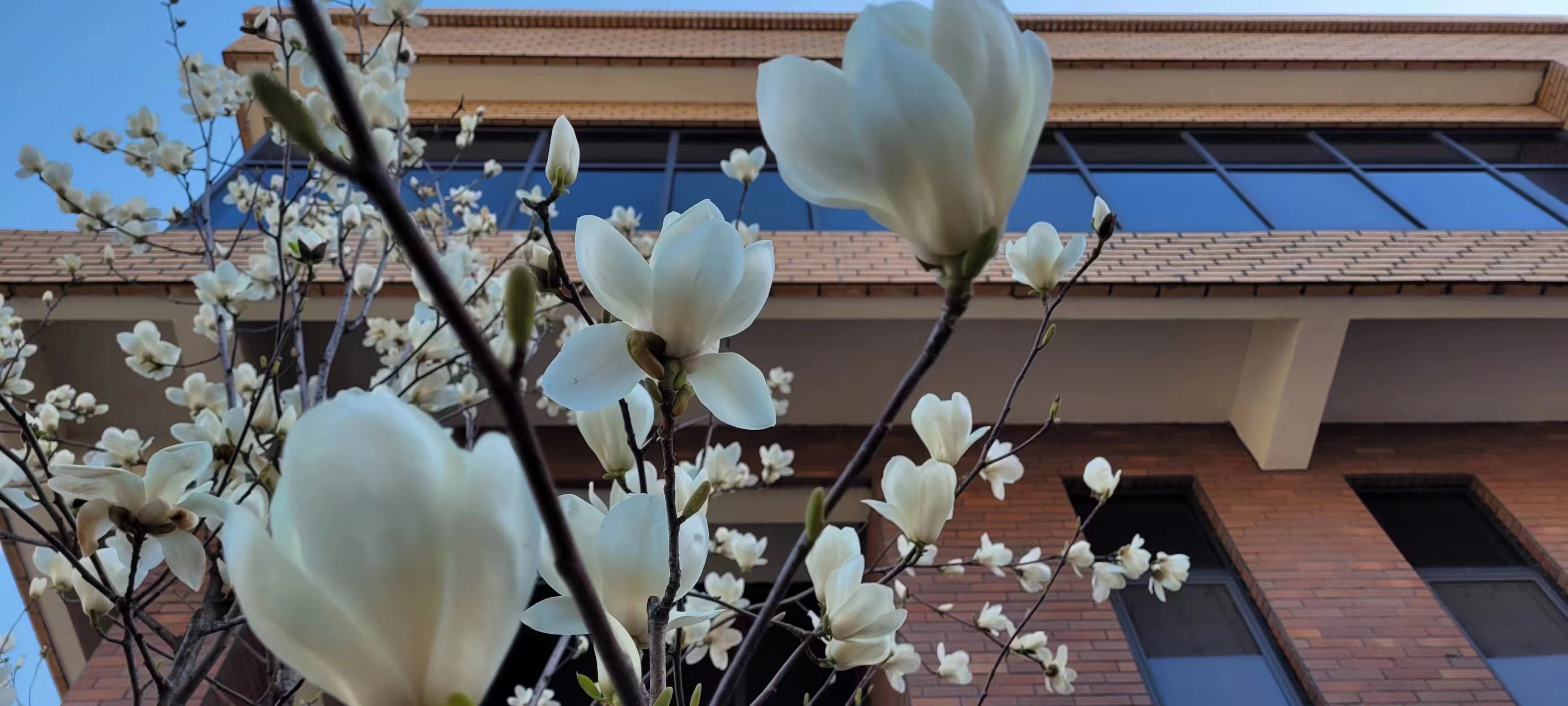 長(cháng)信科技產(chǎn)業(yè)園 長(cháng)信科技產(chǎn)業(yè)園