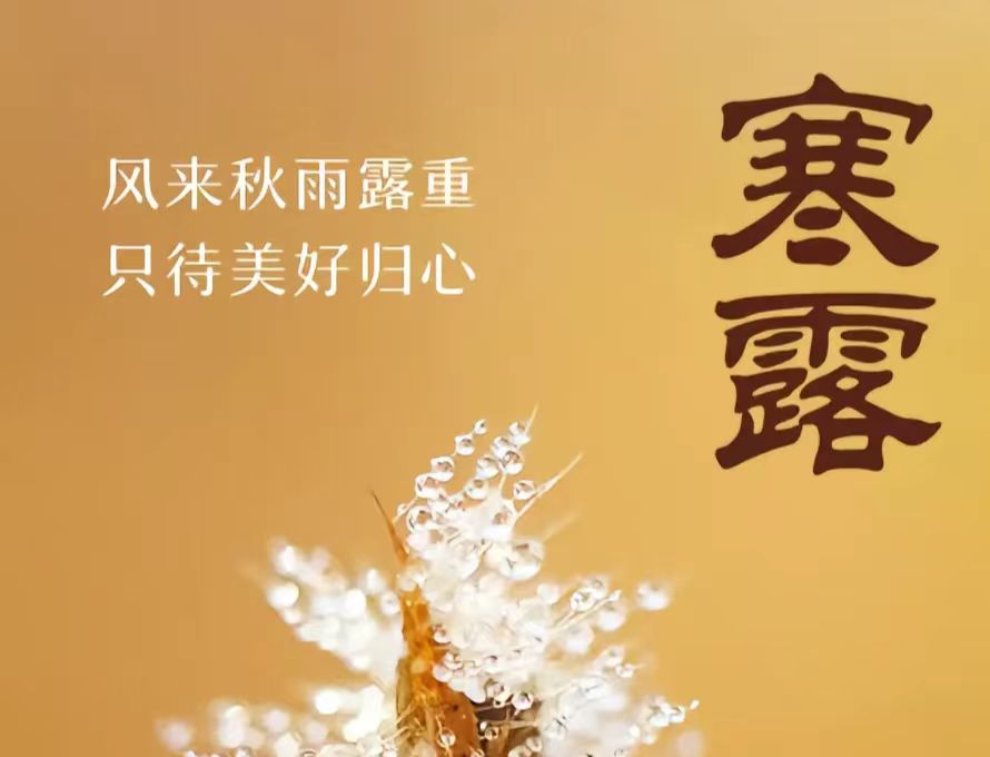 �L(f��ng)��(l��i)����¶����ֻ�����Úw�� ❙ ���պ�¶