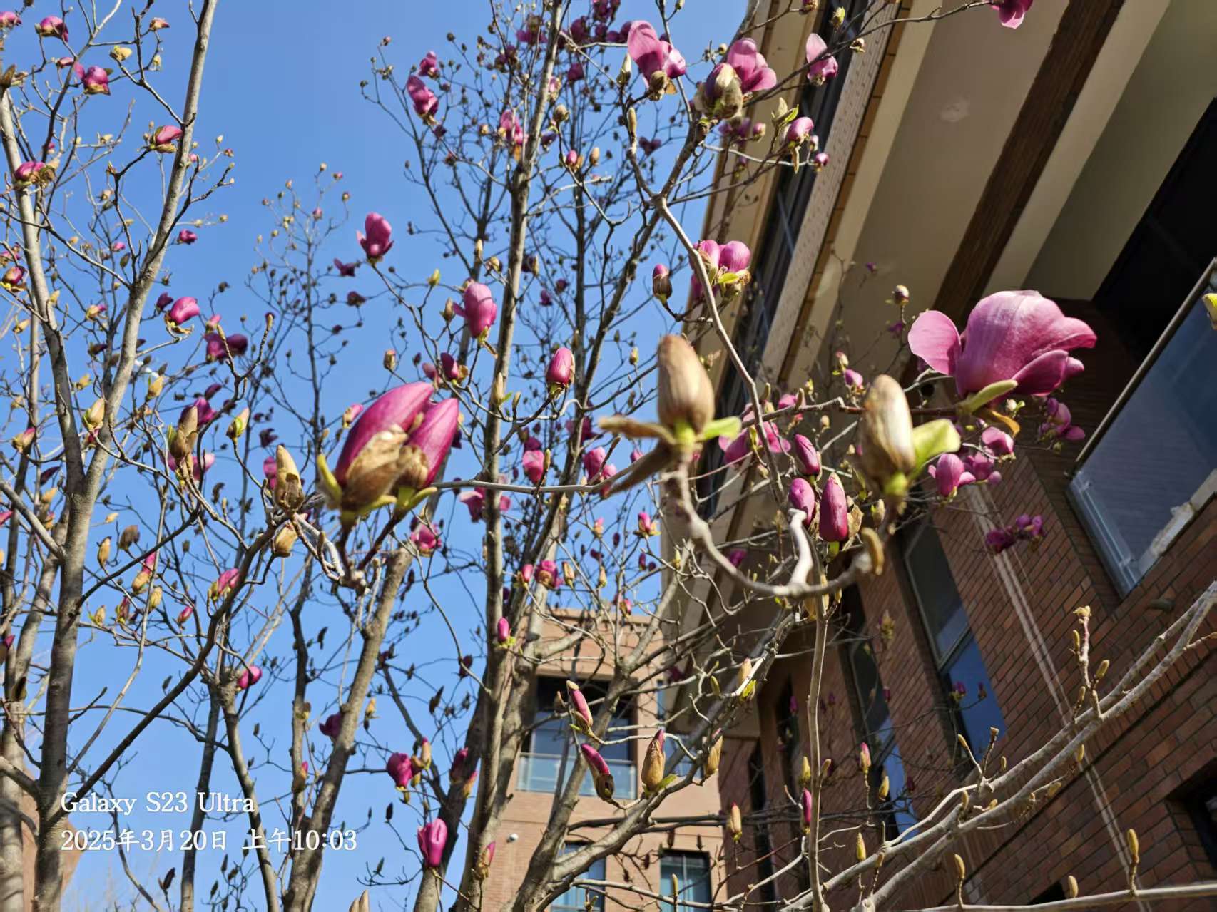 �L(ch��ng)�ſƼ��a(ch��n)�I(y��)�@